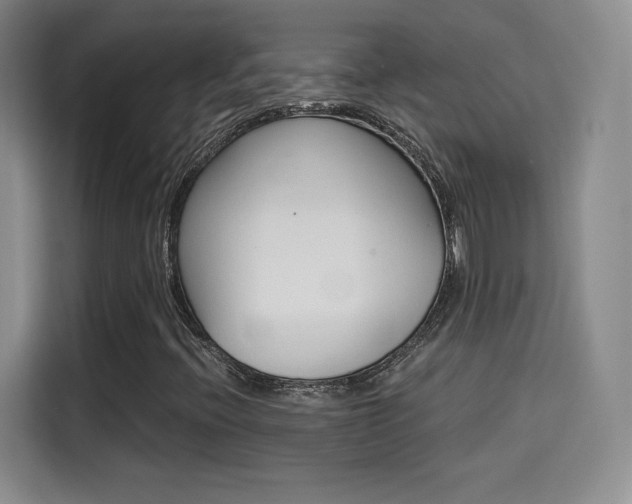 X0000114641396200910200931