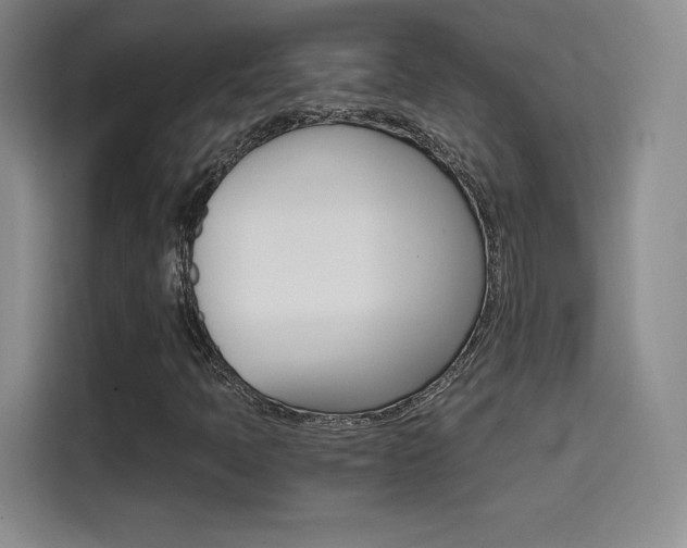 X0000114641397200910200931