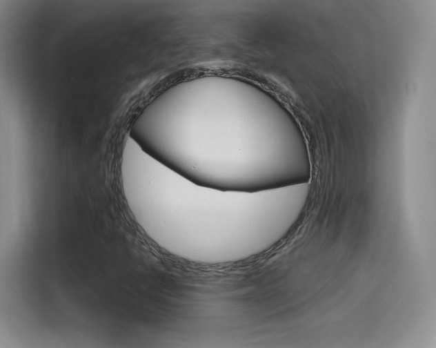 X0000114641398200910200931