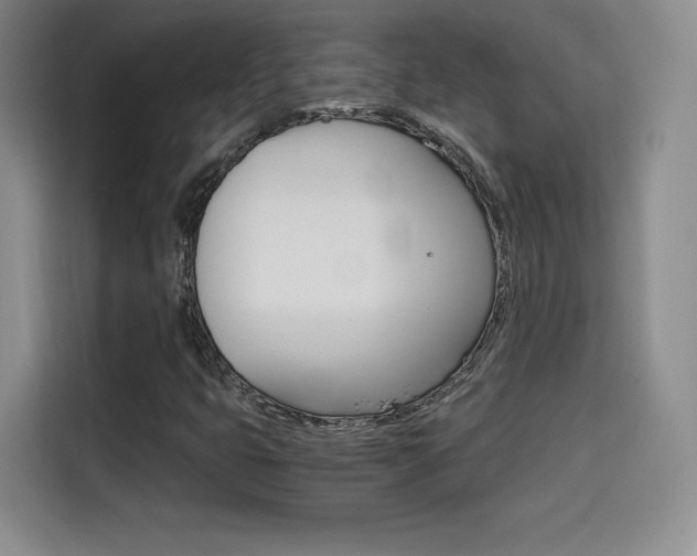 X0000114641399200910200931