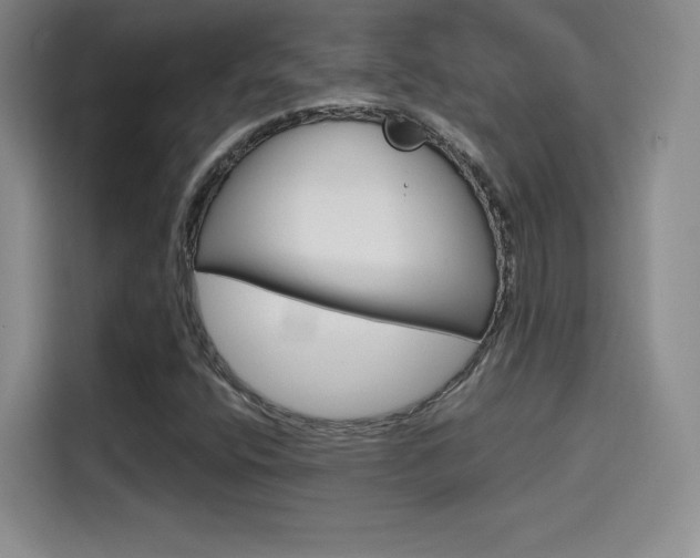 X0000114641400200910200931