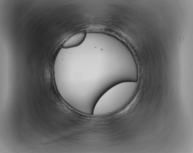 X0000114641401200910200931