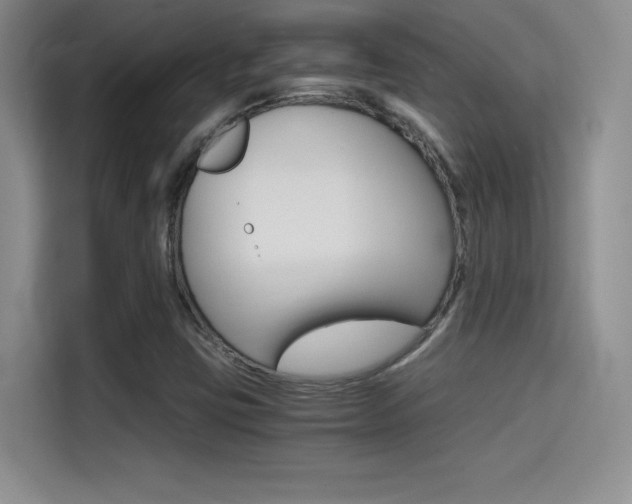 X0000114641403200910200931