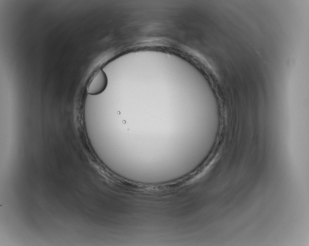 X0000114641405200910200931