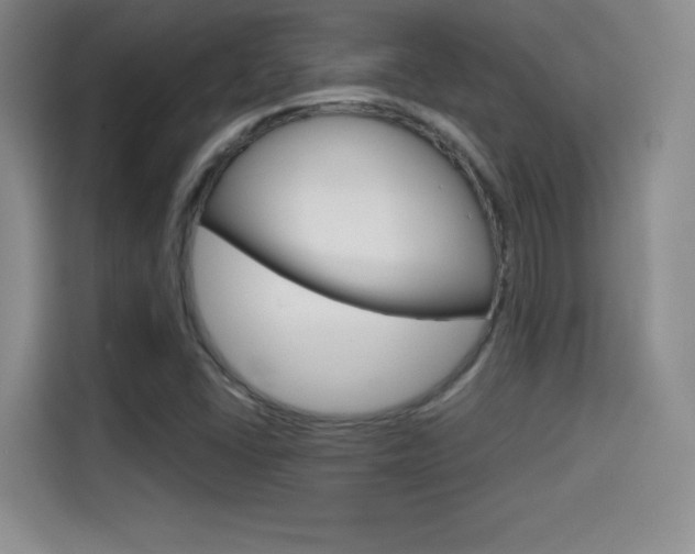X0000114641406200910200931