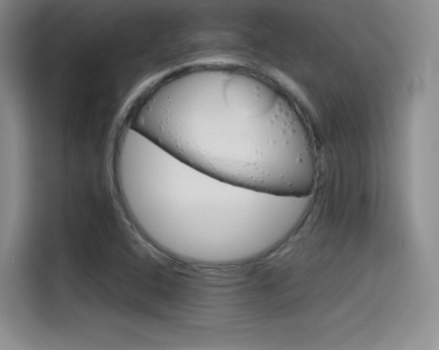 X0000114641408200910200931