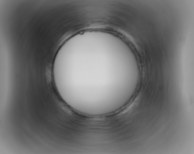 X0000114641409200910200931