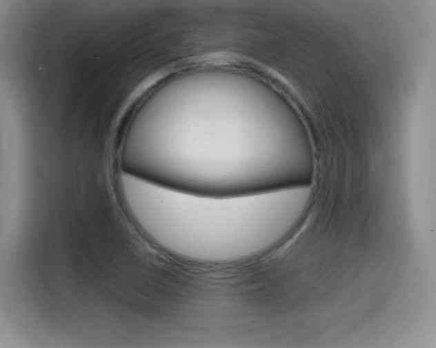 X0000114641410200910200931