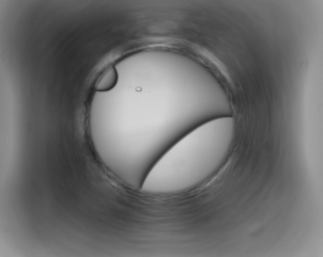 X0000114641411200910200931