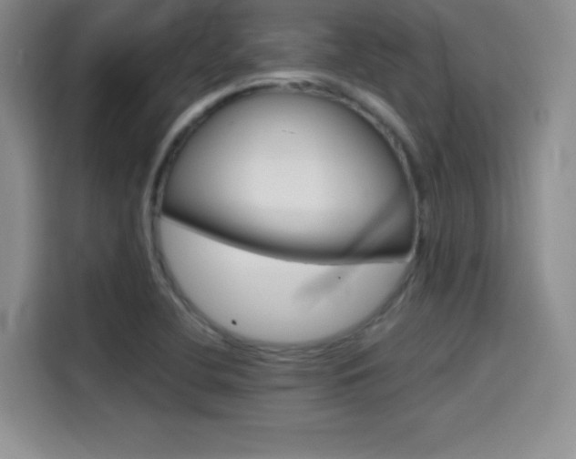 X0000114641412200910200931