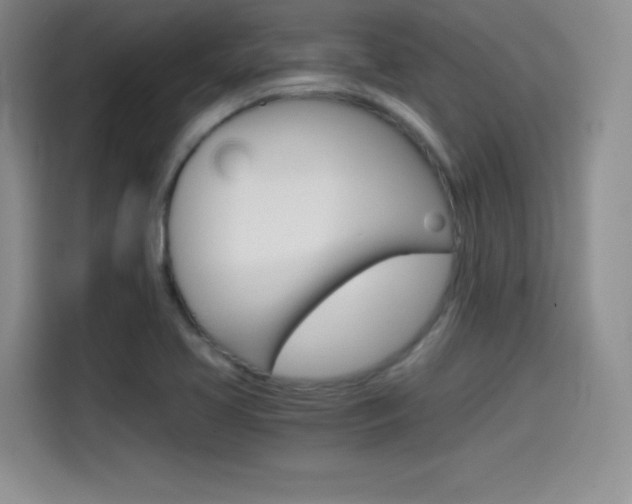 X0000114641413200910200931