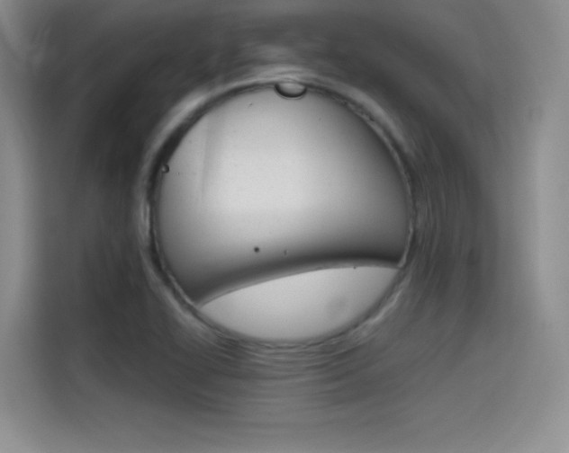 X0000114641414200910200931