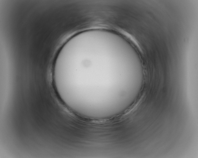 X0000114641415200910200931
