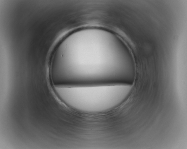 X0000114641416200910200931