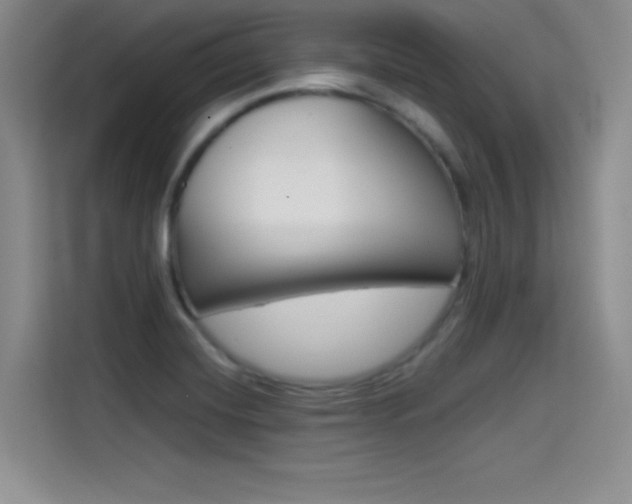 X0000114641420200910200931