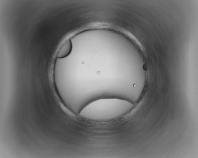 X0000114641421200910200931