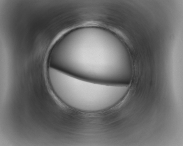 X0000114641422200910200931