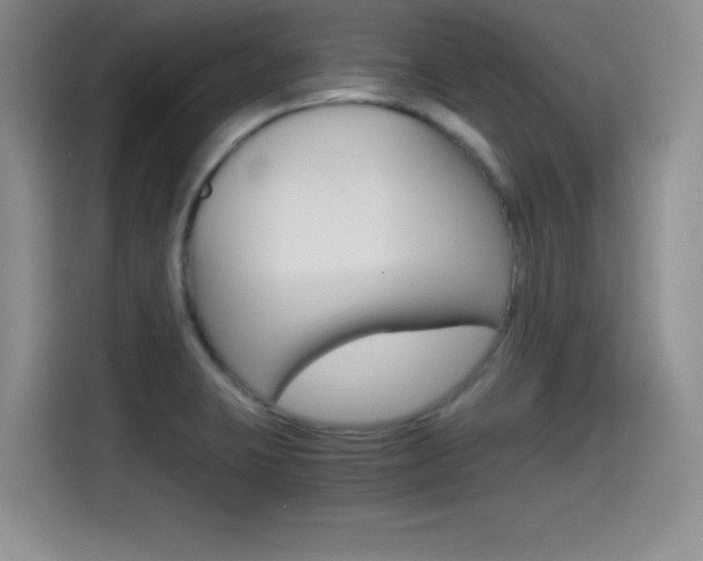 X0000114641423200910200931