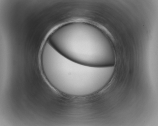 X0000114641424200910200932
