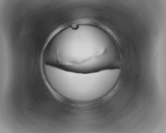 X0000114641426200910200932