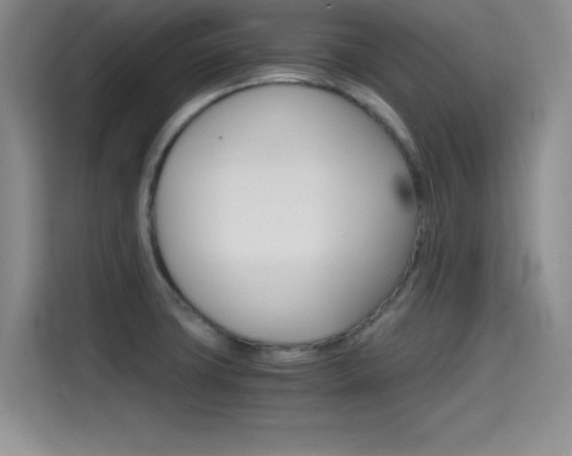 X0000114641427200910200932