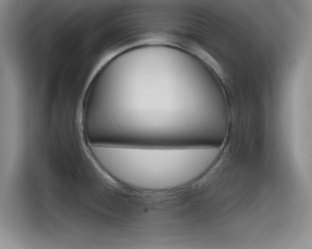 X0000114641428200910200932