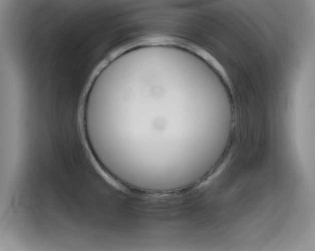 X0000114641429200910200932