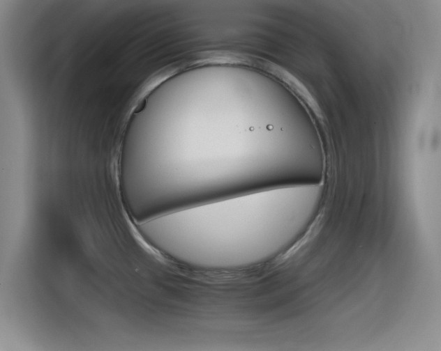 X0000114641433200910200932