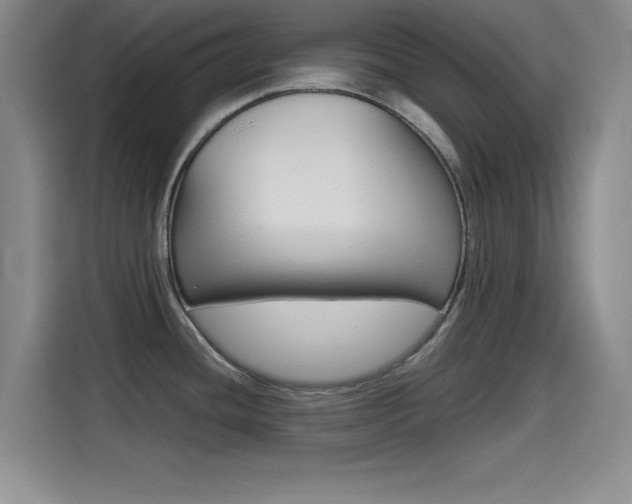 X0000114641436200910200932