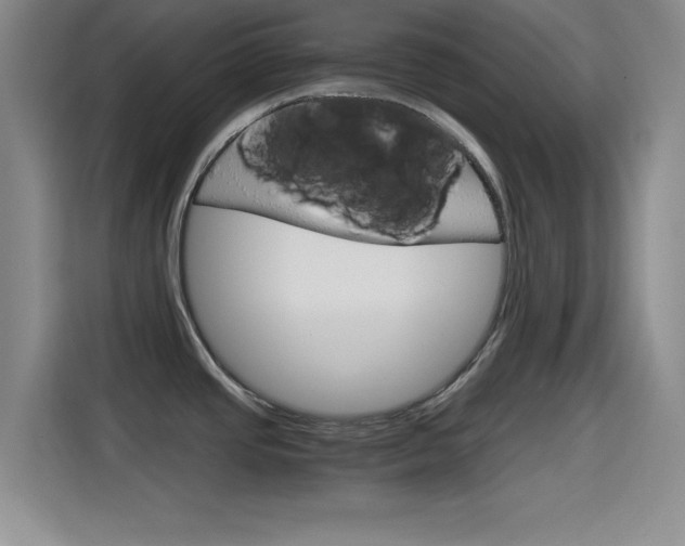 X0000114641437200910200932