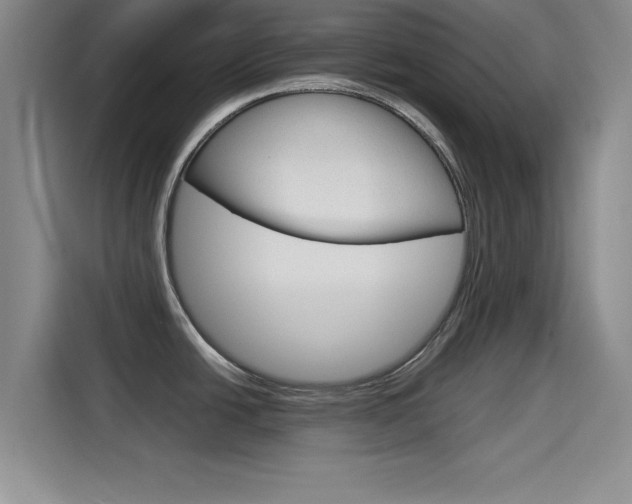 X0000114641438200910200932