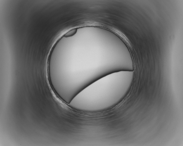X0000114641439200910200932