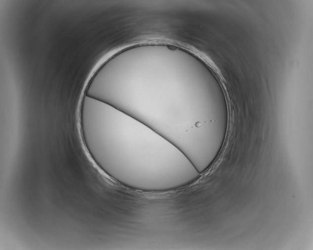X0000114641440200910200932