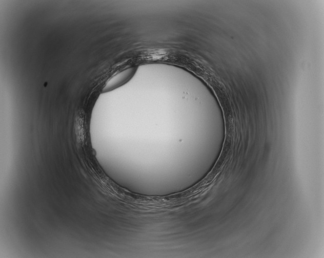 X0000114641442200910200931