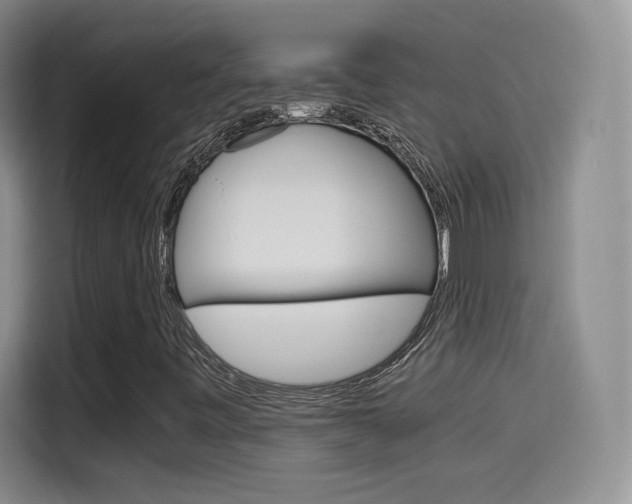 X0000114641443200910200931