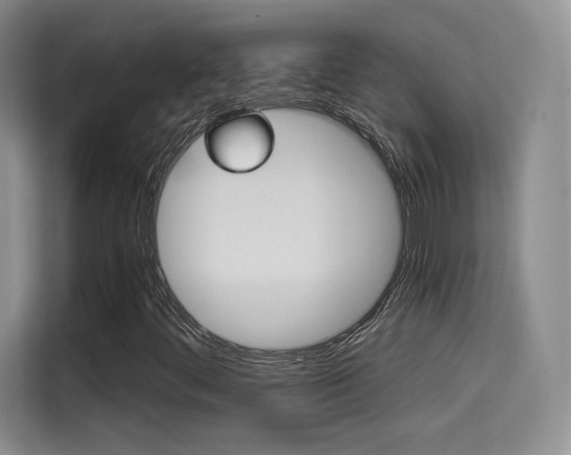 X0000114641444200910200931