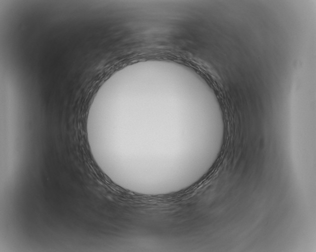 X0000114641445200910200931