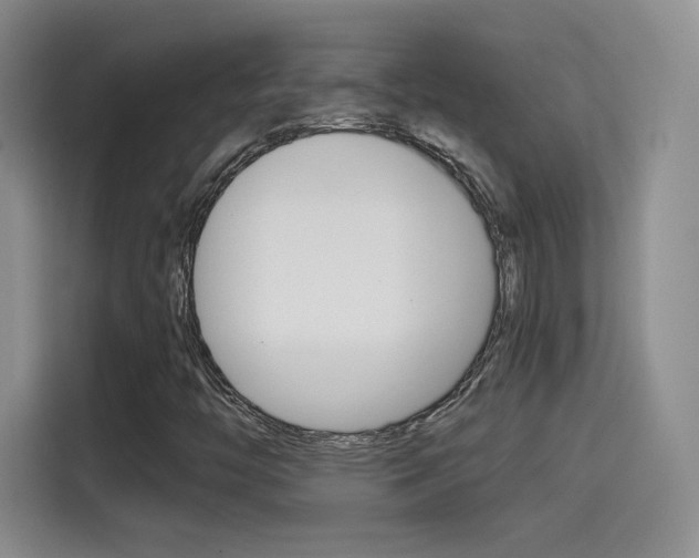 X0000114641446200910200931
