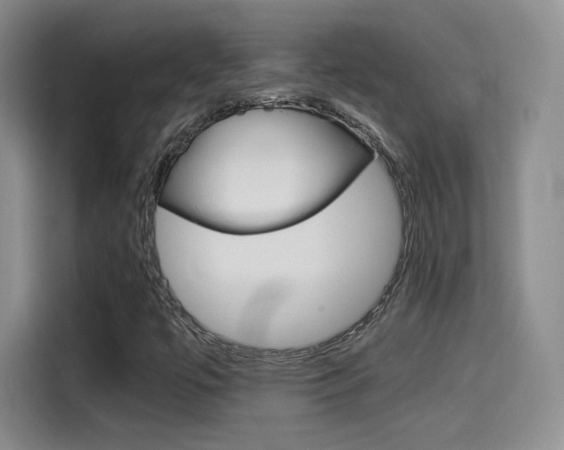 X0000114641447200910200931