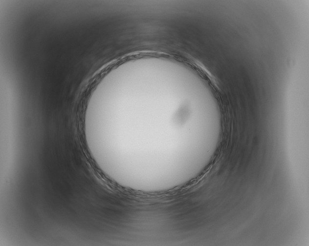 X0000114641448200910200931