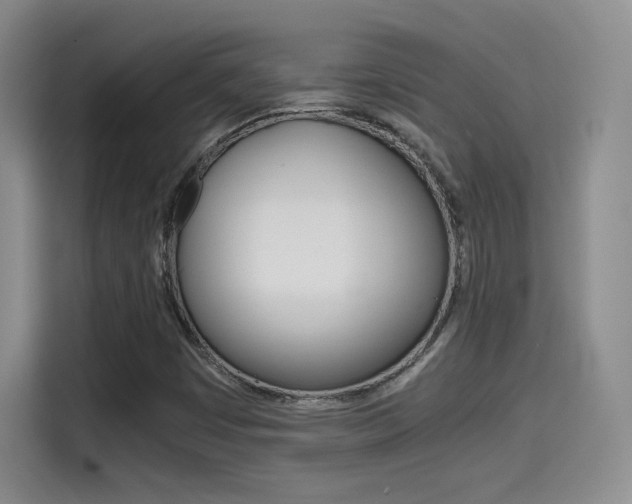X0000114641449200910200931