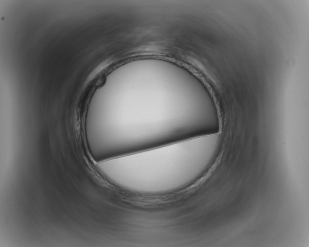 X0000114641450200910200931