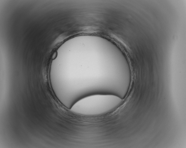 X0000114641451200910200931