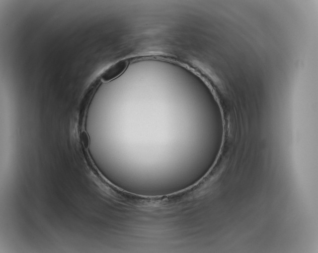 X0000114641452200910200931