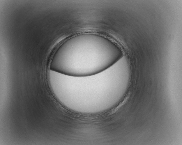 X0000114641453200910200931