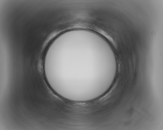 X0000114641454200910200931