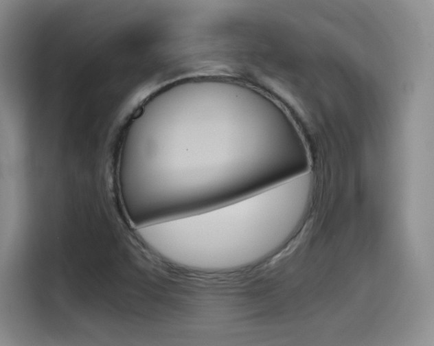 X0000114641455200910200931