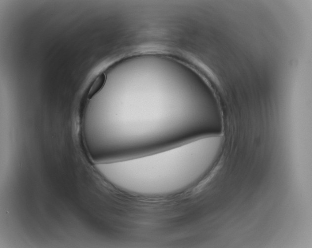 X0000114641461200910200931