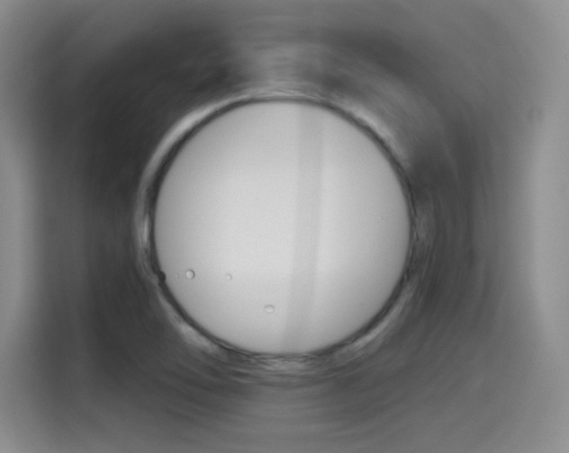 X0000114641462200910200931