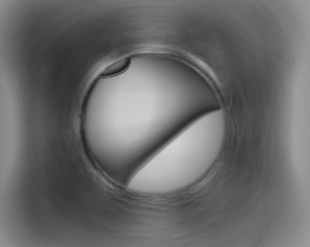 X0000114641463200910200931